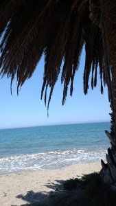 IMG_20160620_122649556